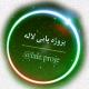 پروژه یابی لاله 1