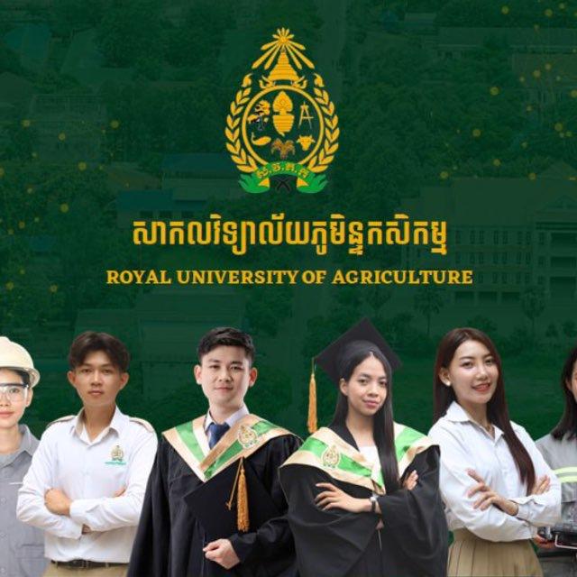 RUA Year1 3 courses (25-26)