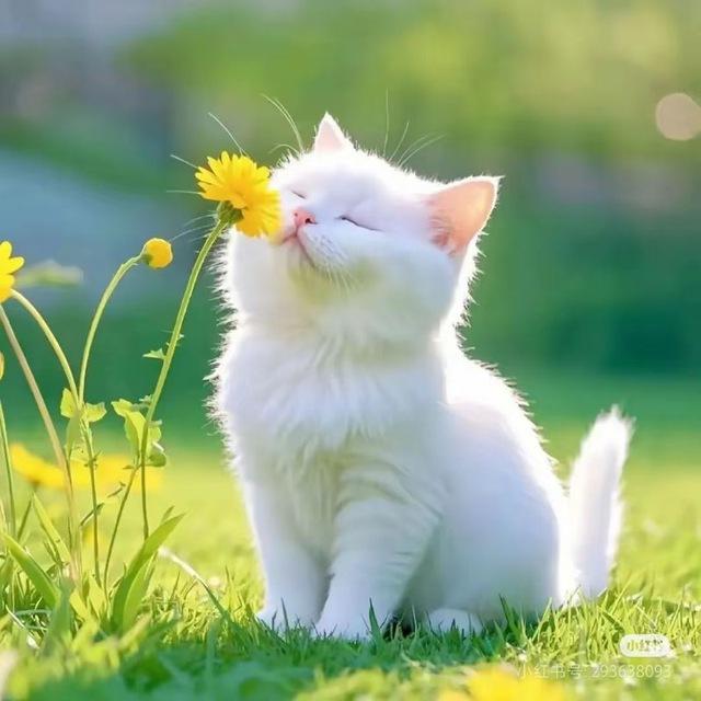 萧山大表姐💋的后花园🌸