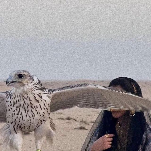᷂ميثاق .