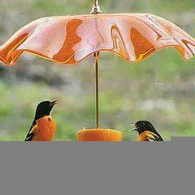 کانالِ شعر کوتاه ِ عاشقانه