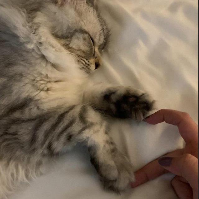 ولكني بخير .
