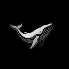 Nordwhale Capital