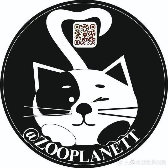 Кошачьи истории....🐾