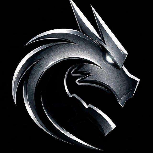 Логово Team Spirit