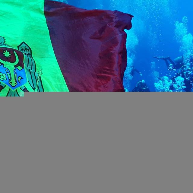 Diving Federation
