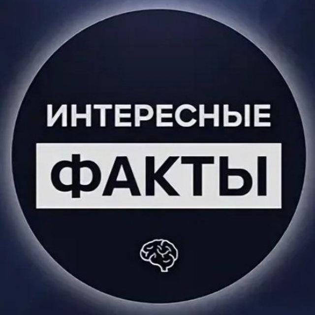 Интересные Факты