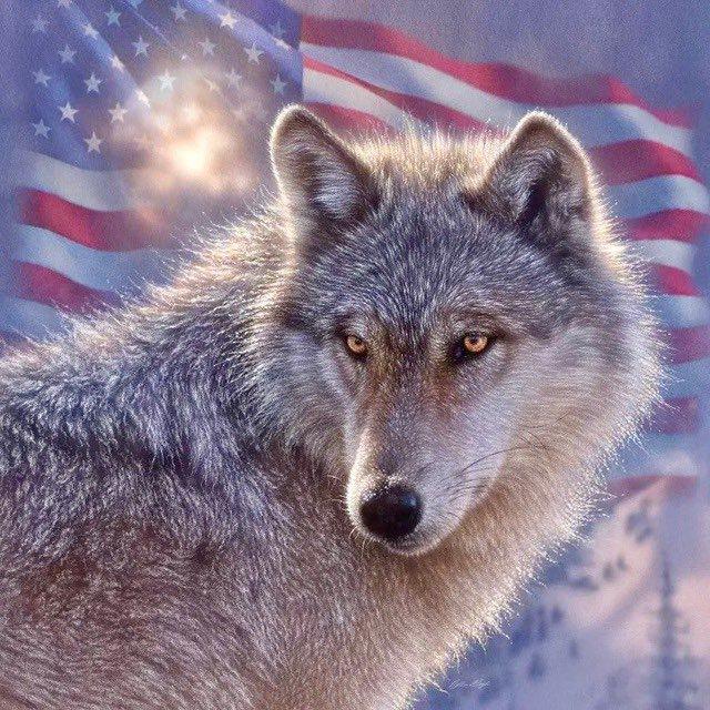 The Wolf Den
