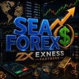 💧SEA💧 FOREX / FREE 🔥💰