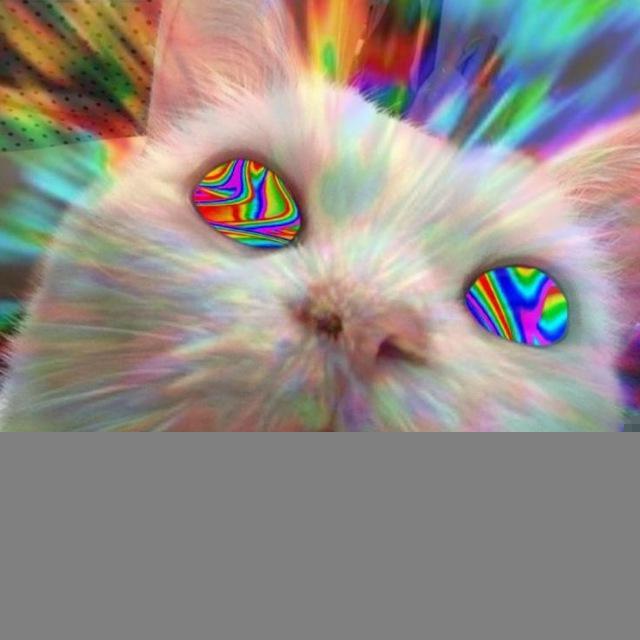 Bass for euphoria