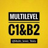 Multi-level Test