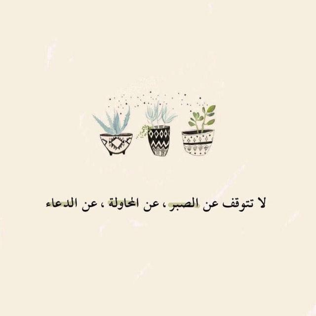 محاضرات المستوى 4,5,6| CS👩🏽‍💻