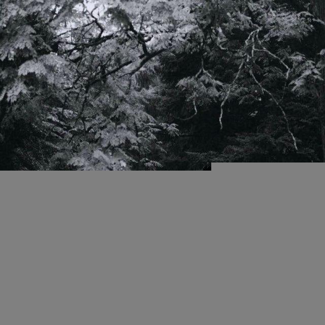 -𝙑𝘼𝙂𝙐𝙀-