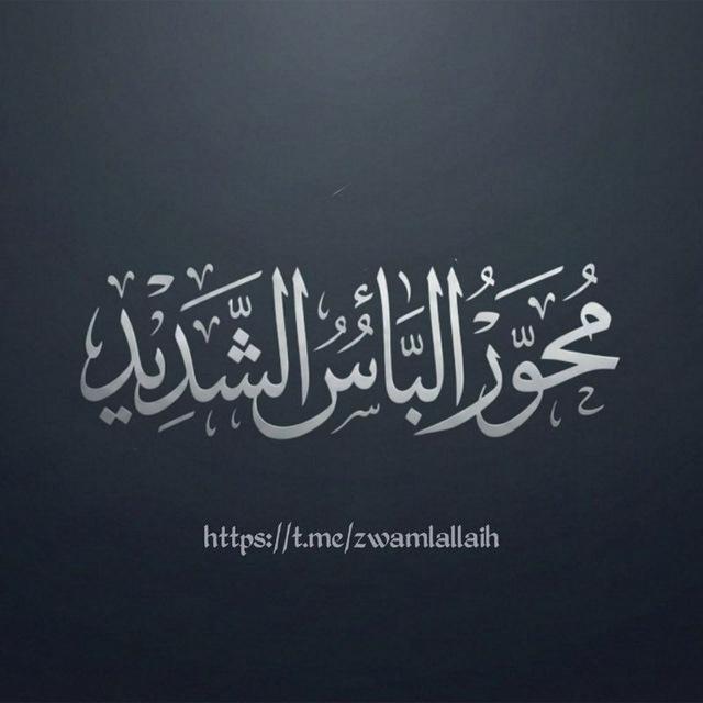 محور البأس الشديد - انصارالله شهيد القرآن