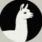 Lama AI