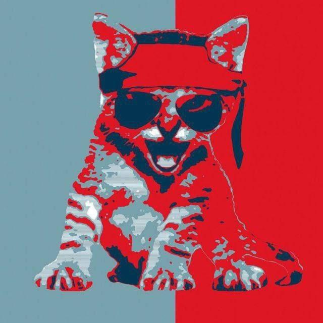 Roaring Kitty CTO Portal