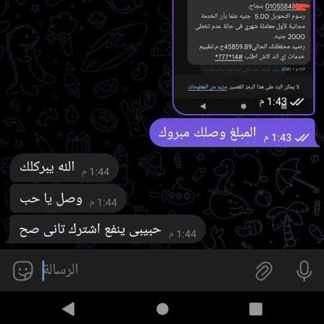 زعيم مصر للتداول والاستثمار
