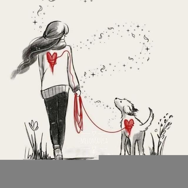 "БОРЬБА ЗА ЖИЗНЬ" каждый день🙏🐶🙏🐶🙏🐶🙏🐶🐶🙏🐶🙏🐶🙏