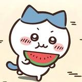 香烟外烟雪茄专营（低价高品质）