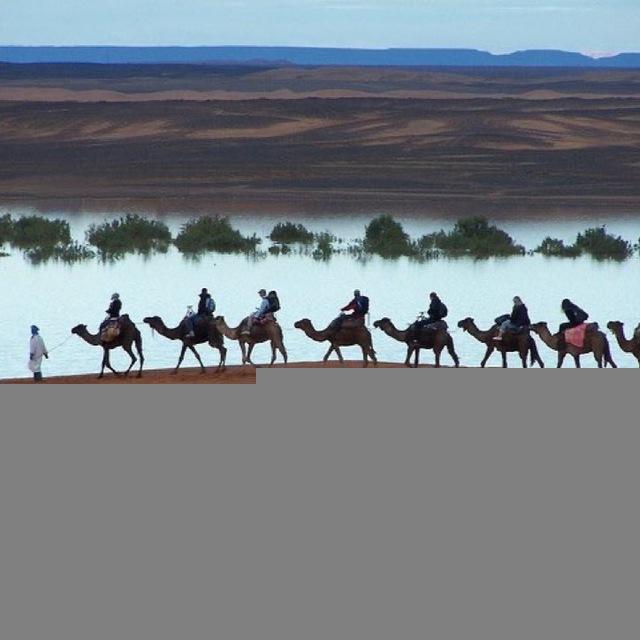 موسيقى عربية