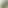 小橘的窝窝