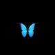 Частинка кави 🦋ྀི
