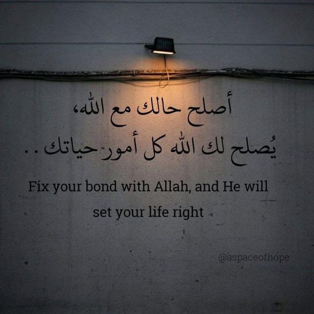 مـكــتبة دار الــحـــديــــث📚