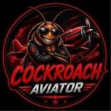 Cockroach Aviator India