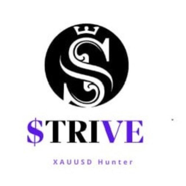 Strive ll سـتـرايــڤ