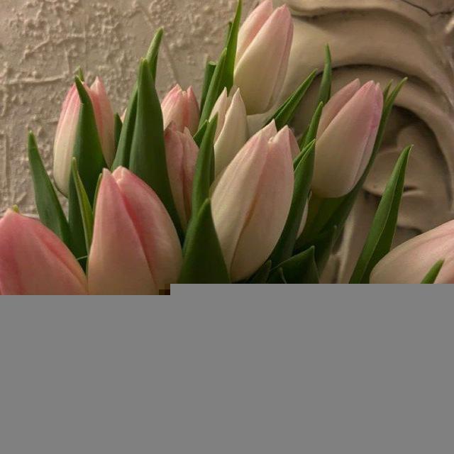 ⋆୨୧˚Between the Hours