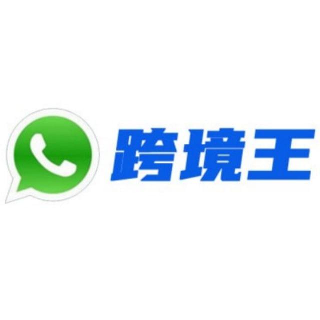 跨境王 WS FB 引流营销系统