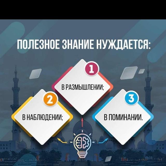 ТУТ ССЫЛКИ на БЕСПЛАТНЫЕ курсы , вебинары , открытые уроки, разных онлайн школ, вакансии 🤲БисмиЛлях. Для детей и сестёр