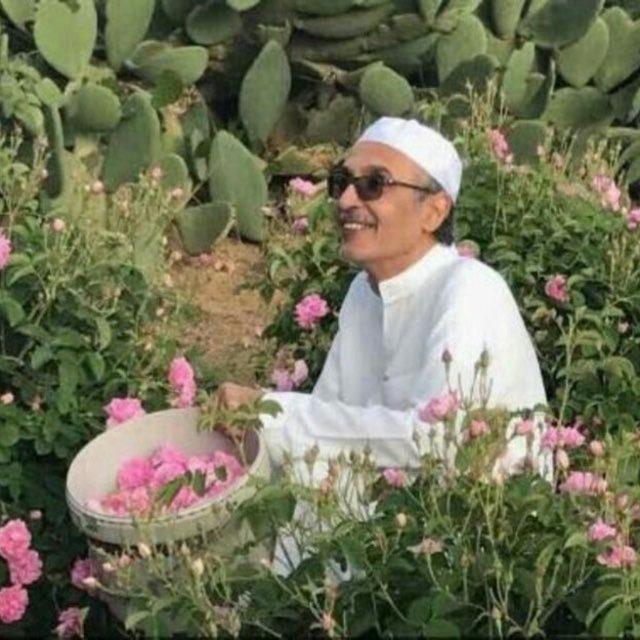 رَهيّف