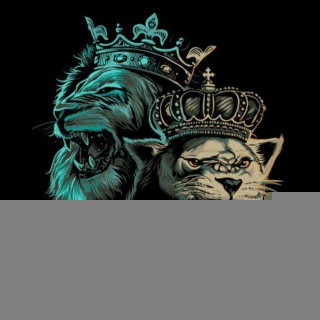 𝘾𝙃𝘼𝙐𝘿𝙃𝘼𝙍𝙔 𝘽𝙃𝘼𝙄🐬𝙎𝘼𝙏𝙏𝘼 𝙆𝙄𝙉𝙂🦁