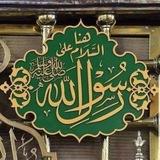 قناة || عمرو الحداد