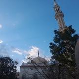 أَرِنِي أَنظُرْ إِلَيْكَ 🤎"𓂆