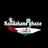 زاپاس کودکان غزه