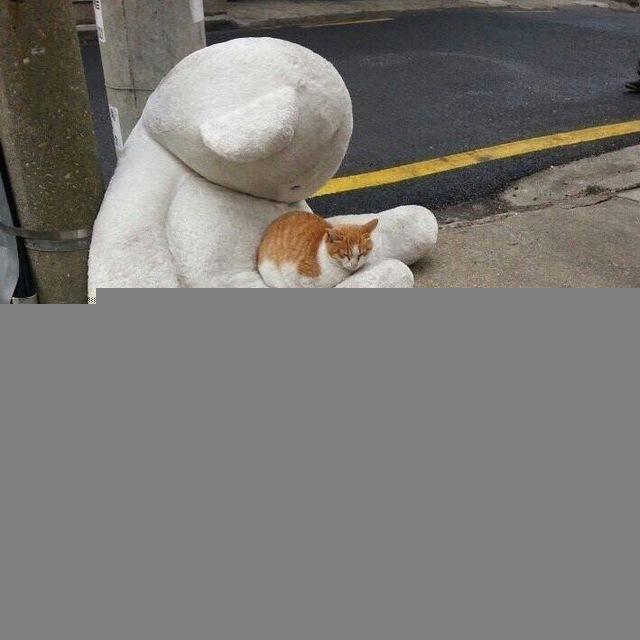 شيء