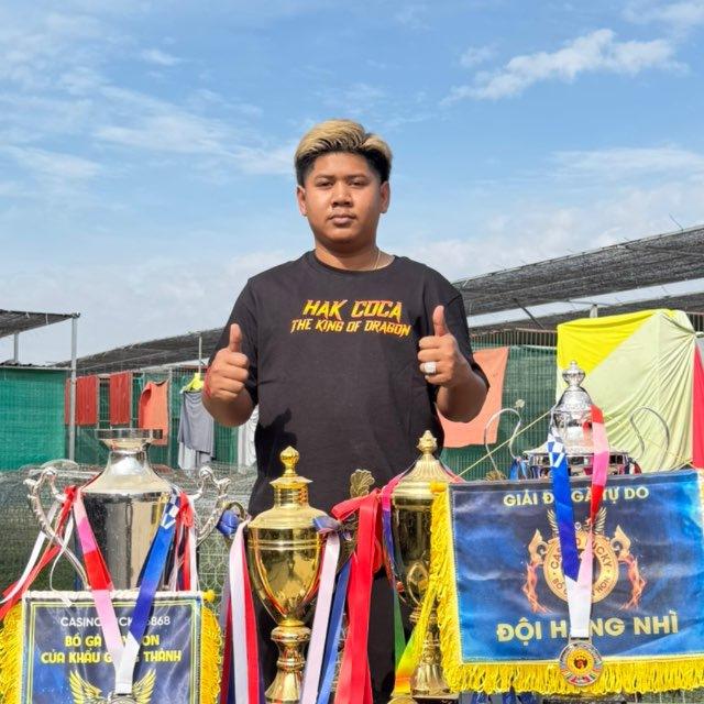 Adminទីង-បក្សីកីឡា