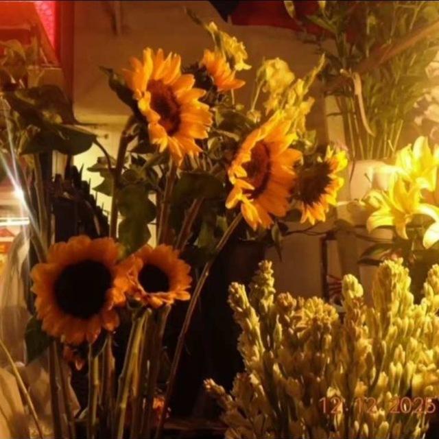 SUN