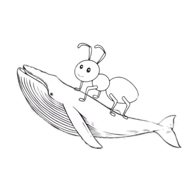 고래와개미 시황/관점공유방