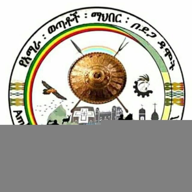 የአማራ ወጣቶች ማህበር በደጋ ዳሞት <> Amhara Youth Association in Dega Damot