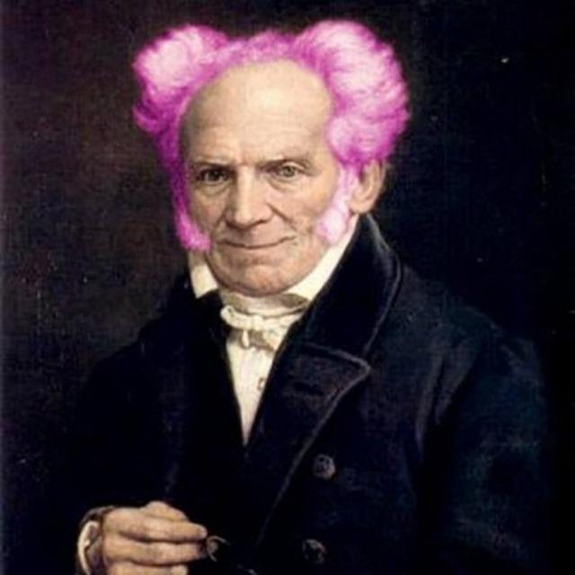 Livros de Schopenhauer, Freud, Cioran, Nietzsche, Machado de Assis e Afins