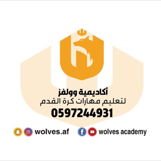 أكاديمية وولفز لكرة القدم