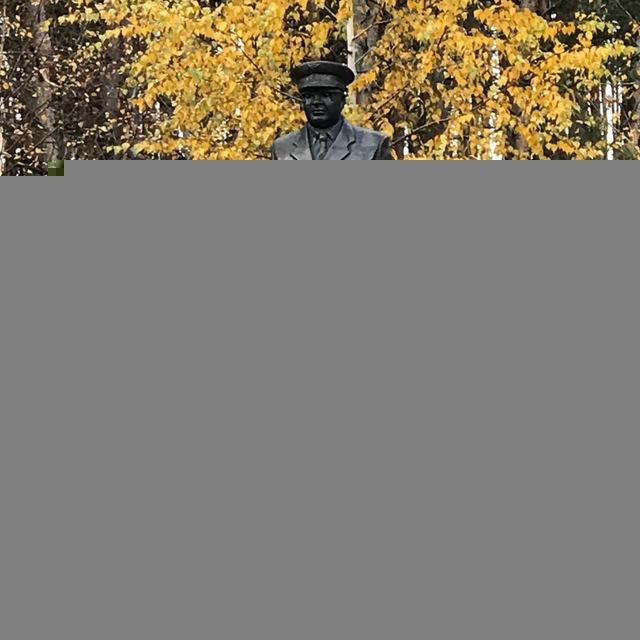 Лесной дозор