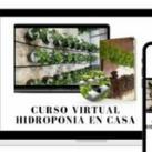 Hidroponía Casera