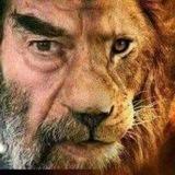 زينو ياسر محاميد_zainaldinmaham1_قناة منتدى شبكة zedan432 الإخبارية_مجموعة اخبار سوريا_نيوز_اصدارات_بوت_السورية_قناه_المحاميد في