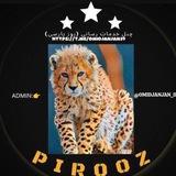 پروکسی رایگان vpn PIROZ(پیروز🐆)