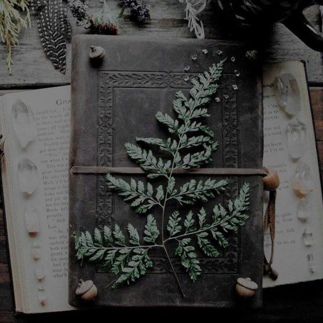 URweiblichkeit ~ Magie der Natur 🌿