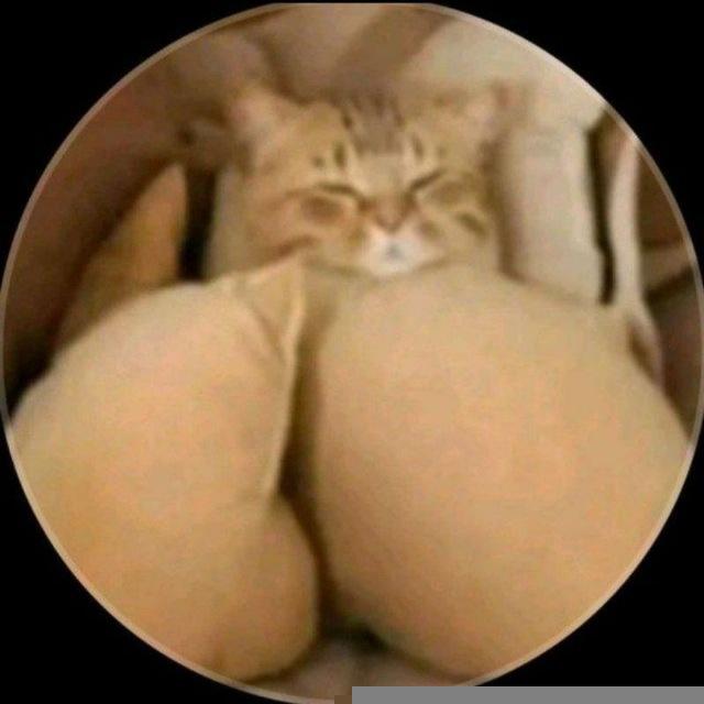 videosdas bokepvitort Indonesiaatr viraltinty